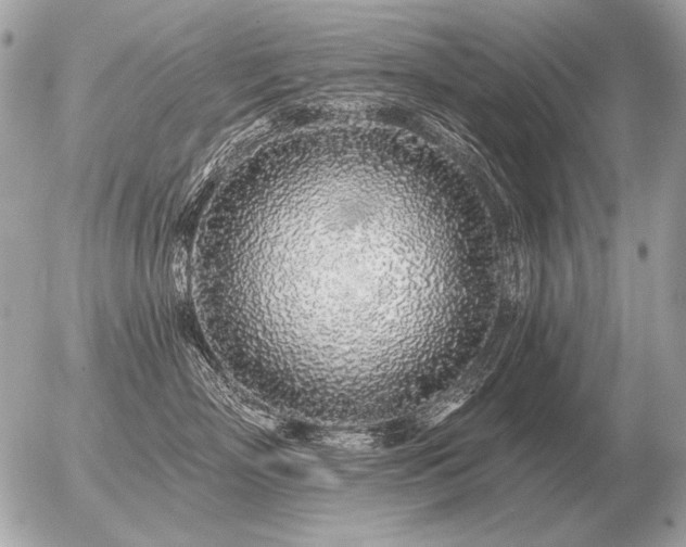 X0000056370718200508261403