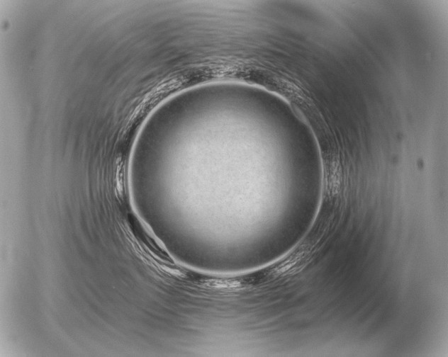X0000056370719200508261403