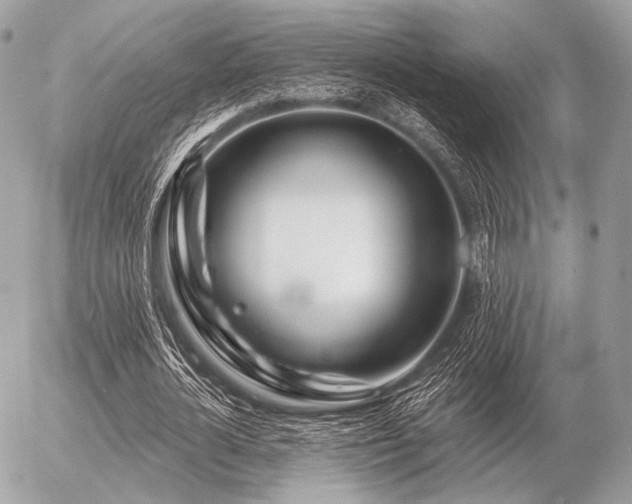X0000056370724200508261402