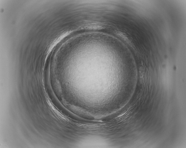 X0000056370726200508261402