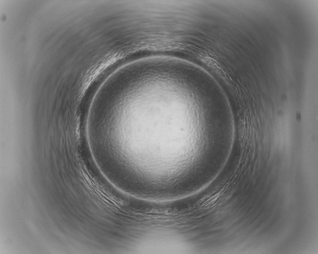 X0000056370727200508261402