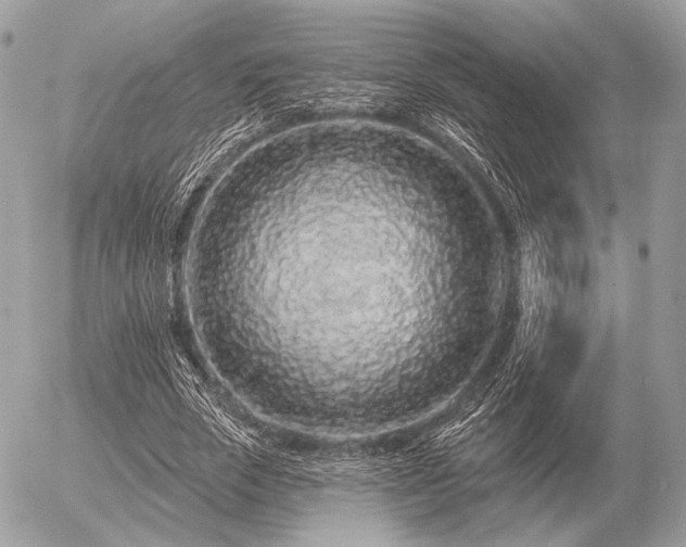 X0000056370729200508261402