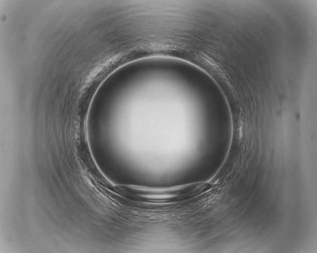 X0000056370732200508261402