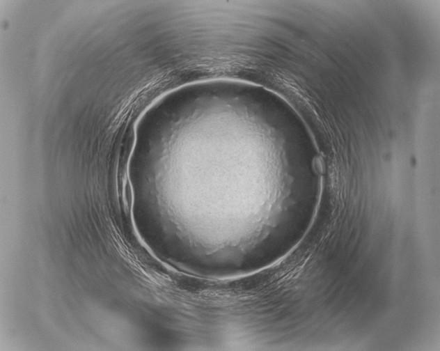 X0000056370733200508261402