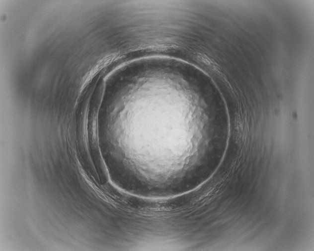 X0000056370734200508261402