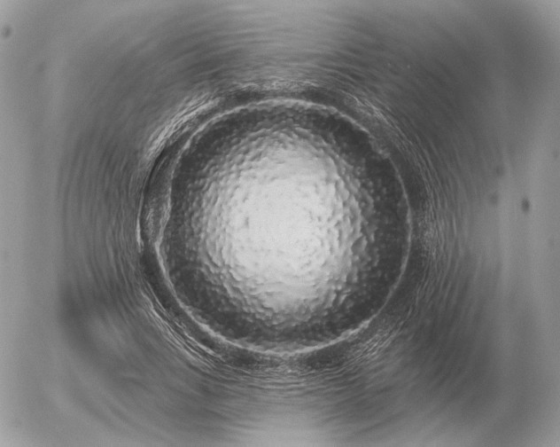 X0000056370735200508261402