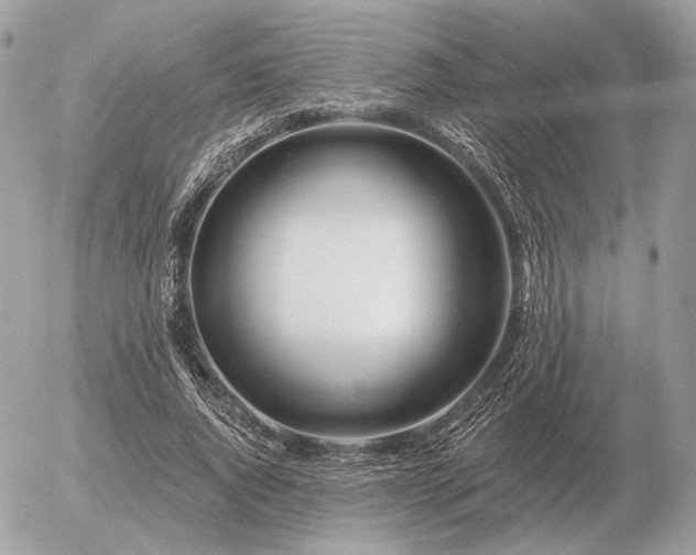 X0000056370736200508261402