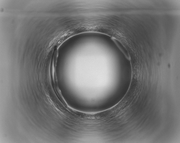 X0000056370740200508261402