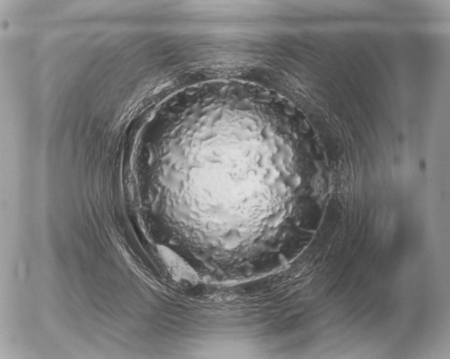 X0000056370742200508261402