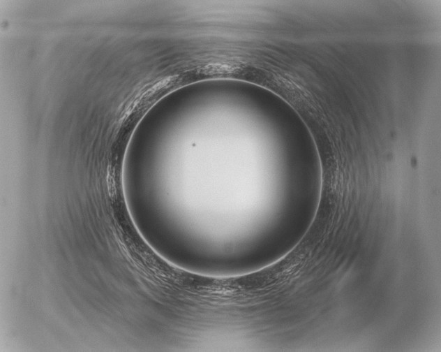 X0000056370743200508261402