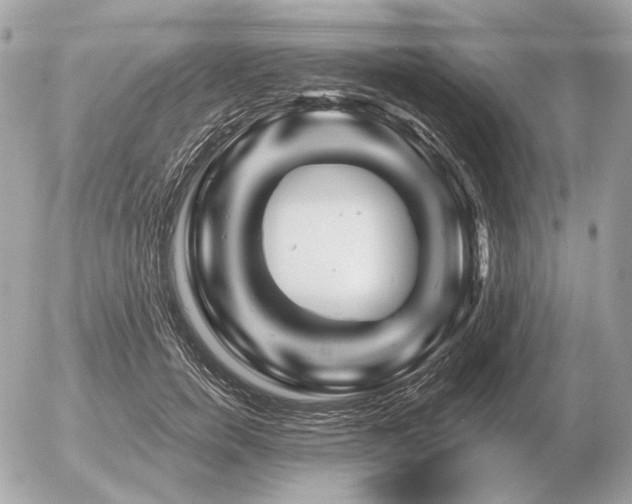 X0000056370750200508261402