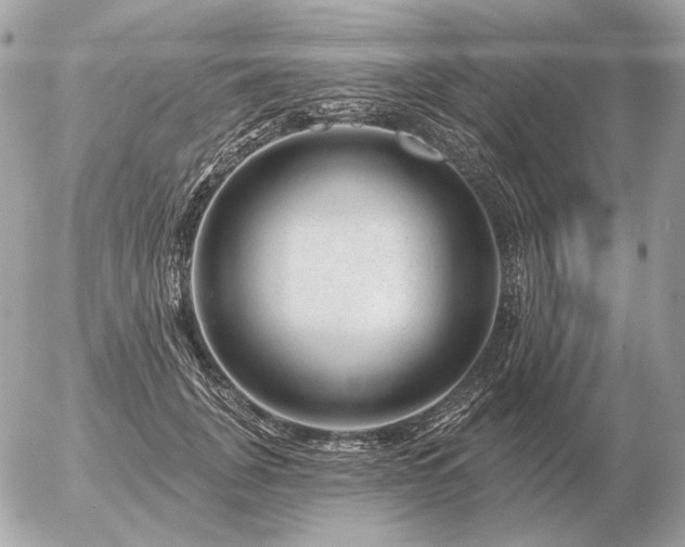 X0000056370751200508261402