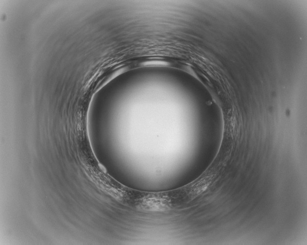 X0000056370756200508261403