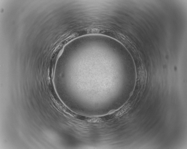 X0000056370761200508261403