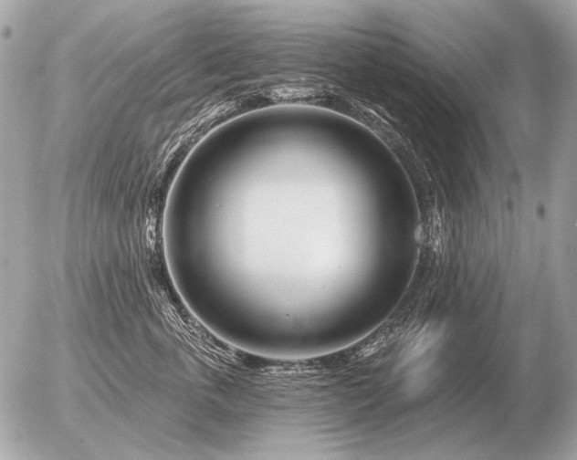 X0000056370763200508261403
