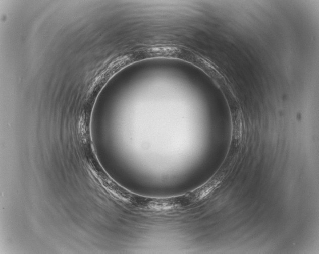 X0000056370764200508261403