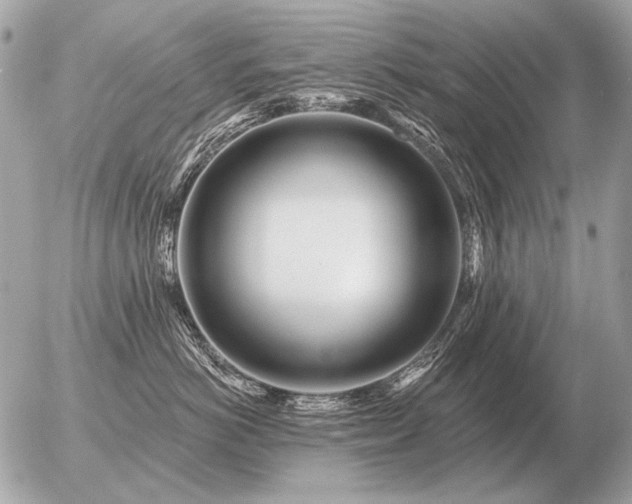 X0000056370766200508261403