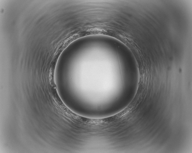 X0000056370767200508261403