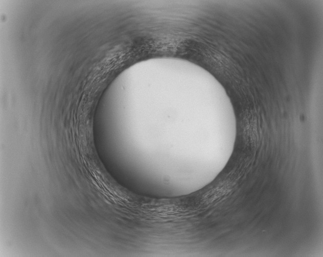 X0000056370769200508261402