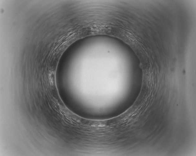 X0000056370770200508261402