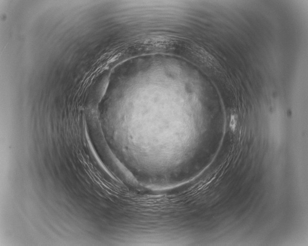 X0000056370771200508261402