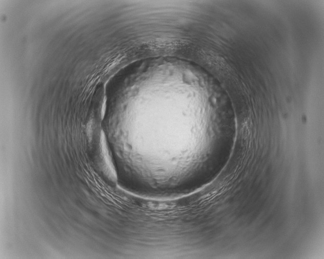 X0000056370772200508261402