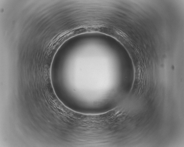 X0000056370773200508261402