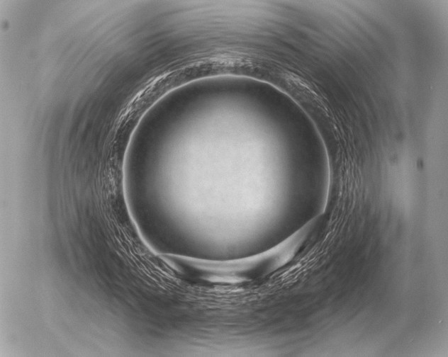 X0000056370776200508261402