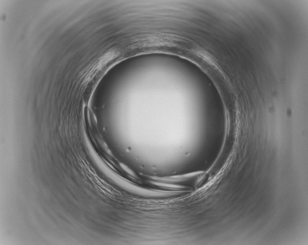 X0000056370777200508261402