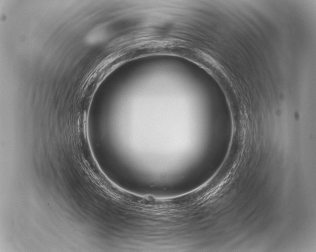 X0000056370778200508261402