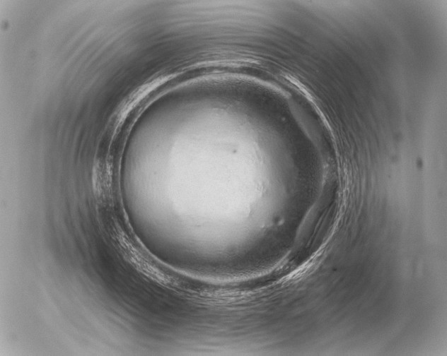 X0000056370779200508261402