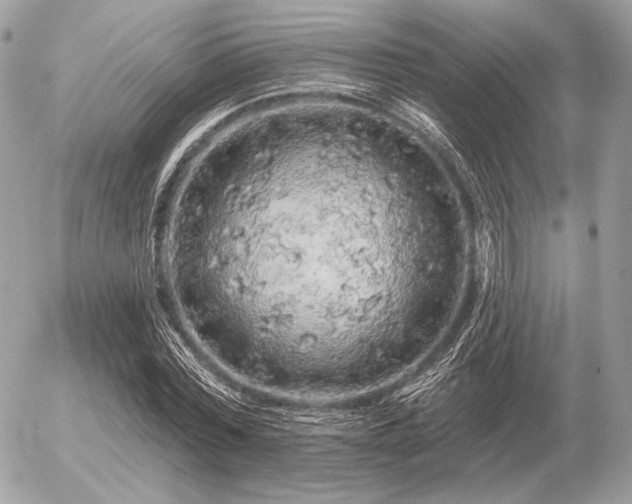 X0000056370780200508261402