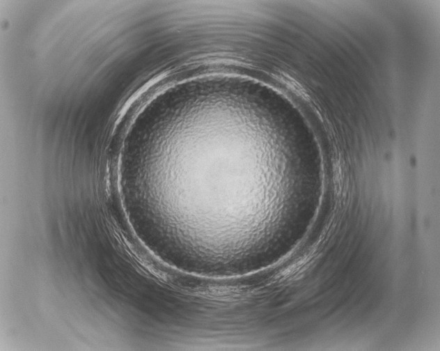X0000056370782200508261402