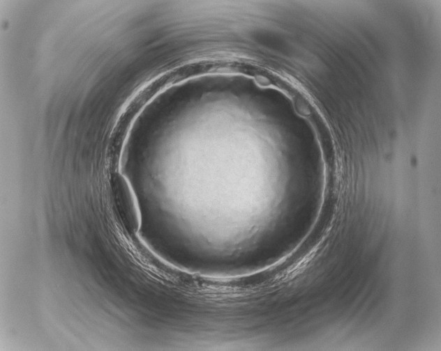 X0000056370783200508261402