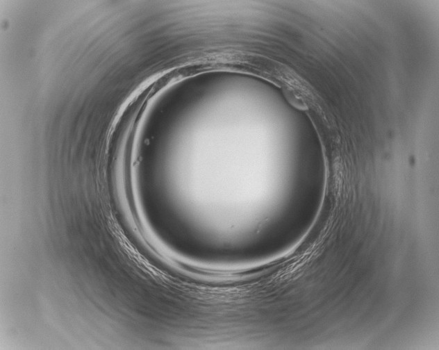 X0000056370784200508261402
