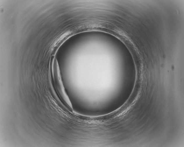 X0000056370785200508261402