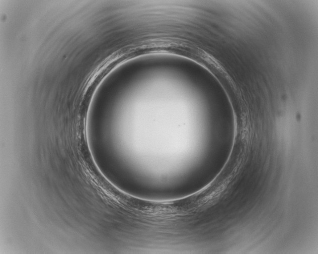 X0000056370786200508261402