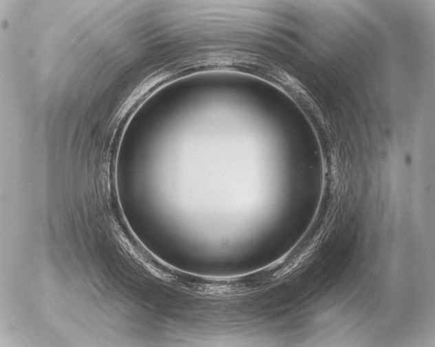 X0000056370794200508261402