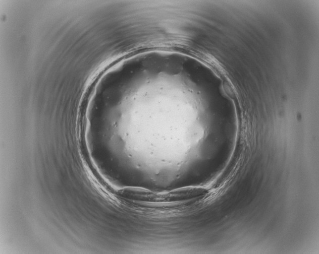 X0000056370795200508261402