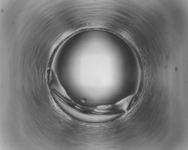 X0000056370797200508261401