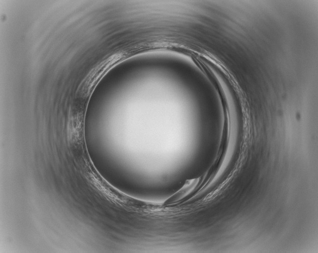 X0000056370801200508261401