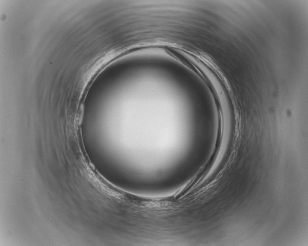 X0000056370805200508261401
