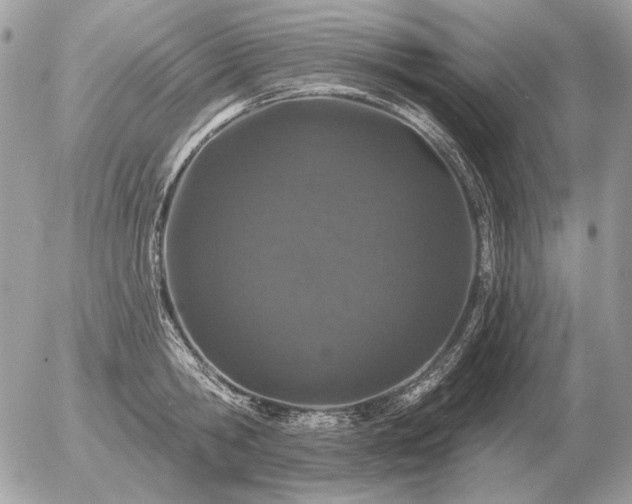 X0000056370806200508261401