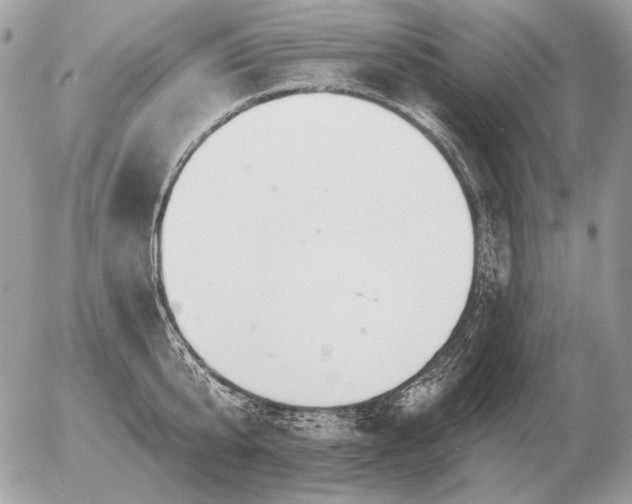 X0000056370807200508261401