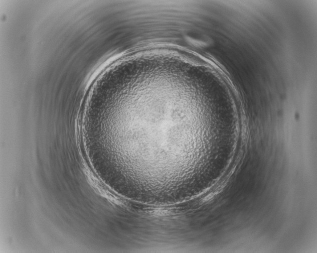 X0000056370814200508261401