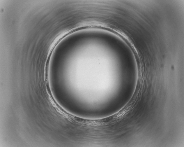X0000056370815200508261401