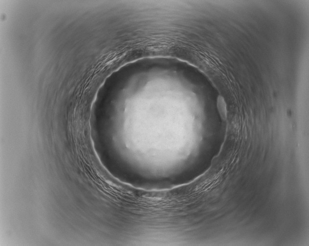 X0000056370817200508261400