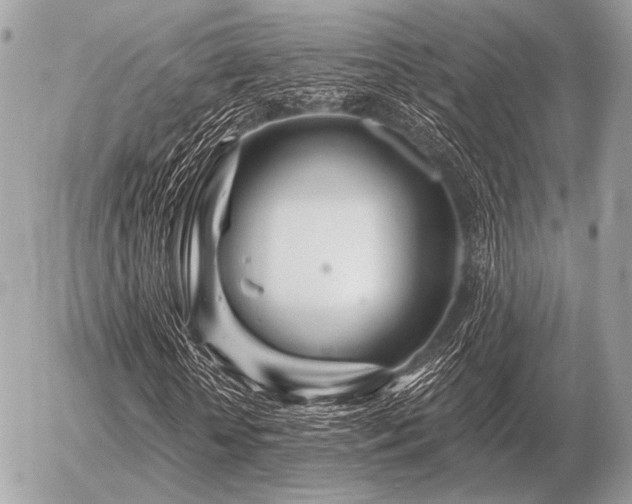 X0000056370818200508261400