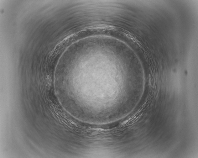 X0000056370821200508261400