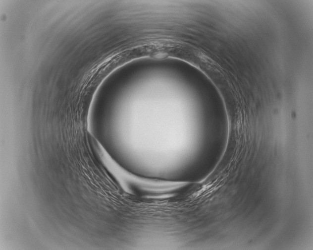 X0000056370822200508261400